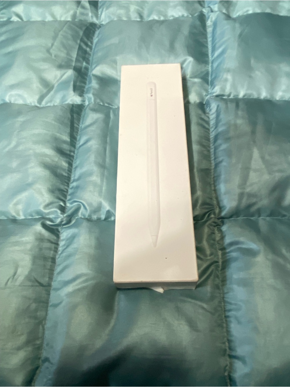Apple Pencil (White) - USB-C Pencil Stylus in Box. Retail $100